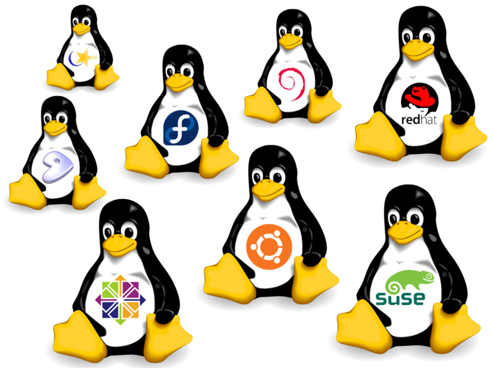 Linux İşletim Sistemi Nedir